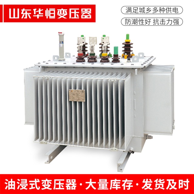 S13-10000/35邓州邓州邓州电力变压器